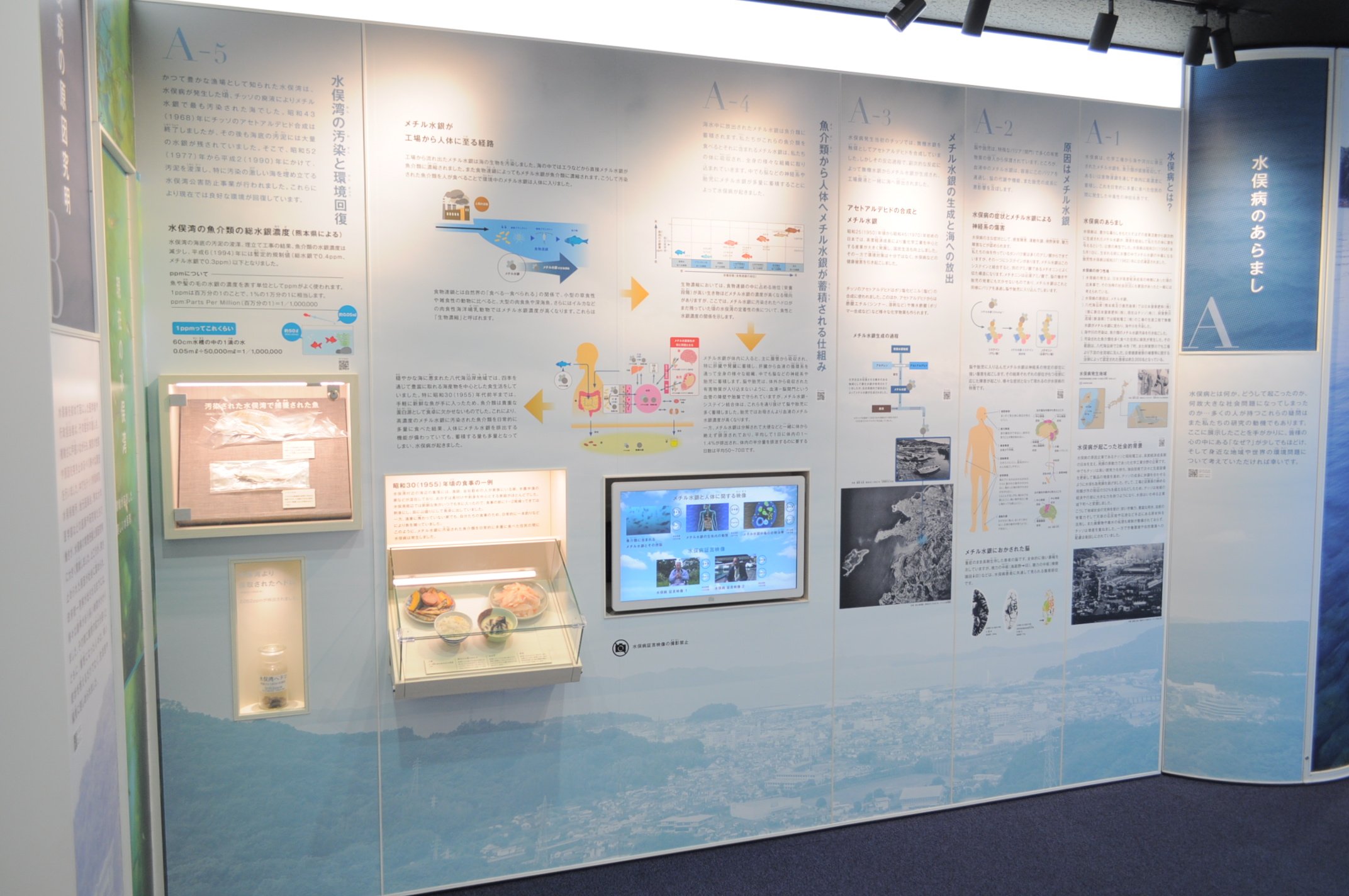 🏛️ 미나마타시립 미나마타병 자료관